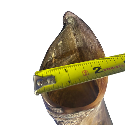 Kudu Horn African Antelope Outer Horn Size Medium (Half Polished)