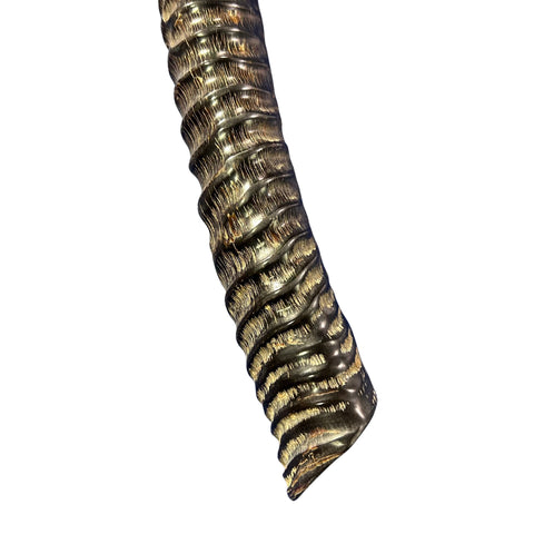 28" Real Oryx Horn Yemenite Shofar - Genuine Gemsbok Horn Shofar- Real Horns Judaica Trumpet - Kosher Made Yemenite Trumpet Size: 28" long
