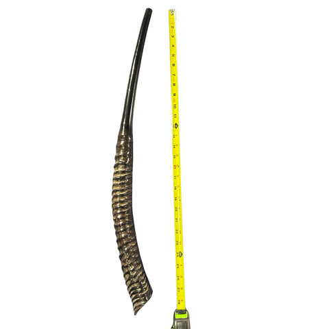 28" Real Oryx Horn Yemenite Shofar - Genuine Gemsbok Horn Shofar- Real Horns Judaica Trumpet - Kosher Made Yemenite Trumpet Size: 28" long