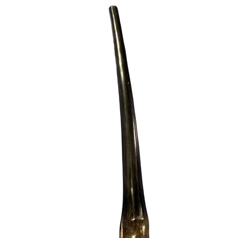 28" Real Oryx Horn Yemenite Shofar - Genuine Gemsbok Horn Shofar- Real Horns Judaica Trumpet - Kosher Made Yemenite Trumpet Size: 28" long