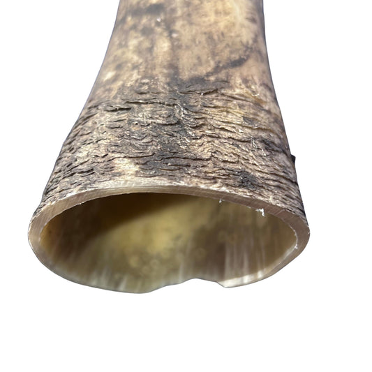 LongHorn Steer Horn Set (2 horns/left and right) - 27" long Horns Rustic Decor Arts and Crafts Longhorn - Steer Horns - Arts and Crafts