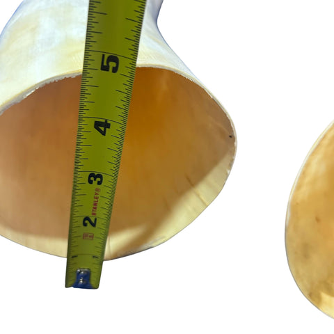Real Ox Horn Set (2 horns/left and right) - 25.8" and 28" long Longhorn Rustic Decor Arts and Crafts Cowboy Gift - Steer Horns