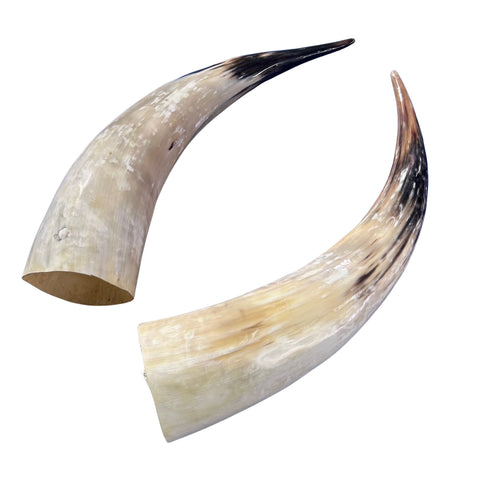 Real Ox Horn Set (2 horns/left and right) - 25.8" and 28" long Longhorn Rustic Decor Arts and Crafts Cowboy Gift - Steer Horns