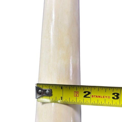 Real Giraffe Leg Bone About 23" long - Polished Giraffe Leg Bone