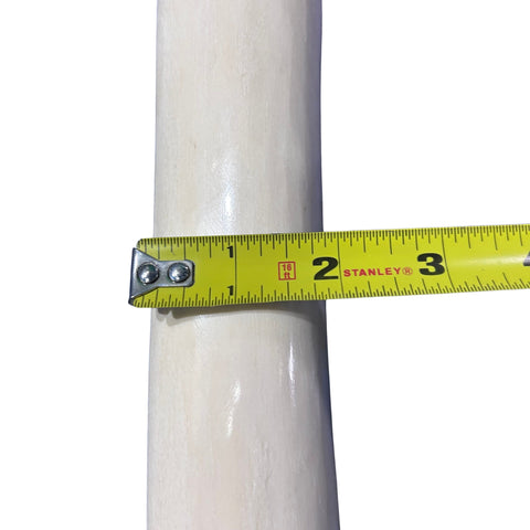 Real Giraffe Leg Bone About 24" long