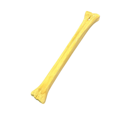 Real Giraffe Leg Bone About 23" long - Polished Giraffe Leg Bone