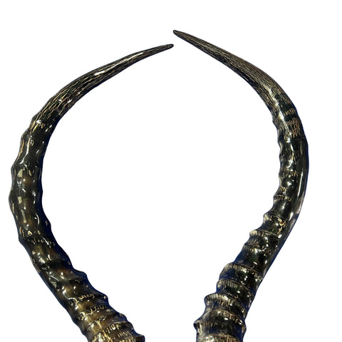 Real Impala Polished Horn Set (2 horns/left and right)