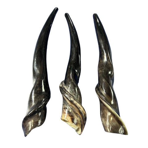 Shofar en corne d'élan, Shofar en corne d'élan entièrement poli, Shofar en corne d'antilope Les tailles varient - le plus joli peut mesurer 23" de long (copie)