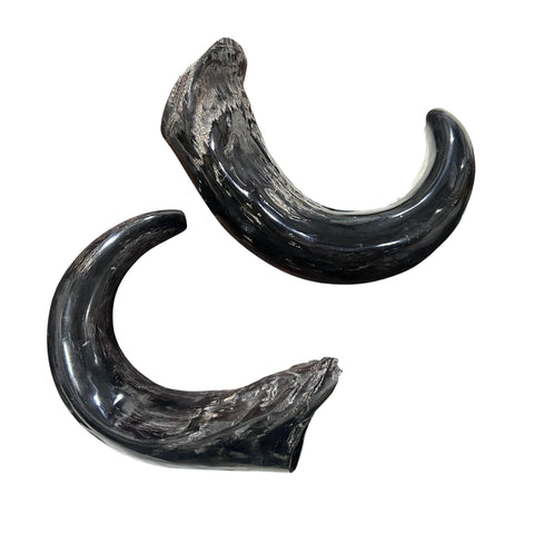 Cape Buffalo Yemenite Shofars
