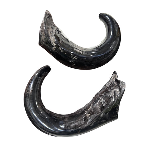 Cape Buffalo Yemenite Shofars