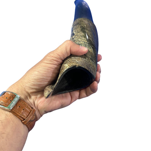 Eland Yemenite Shofar - Genuine Antelope Horn - Around 15" long - Judaica Trumpet Kosher-made Eland antelope horn shofar Eland Horn Trumpet