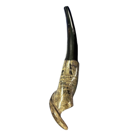 Eland Yemenite Shofar - Genuine Antelope Horn - Around 15" long - Judaica Trumpet Kosher-made Eland antelope horn shofar Eland Horn Trumpet
