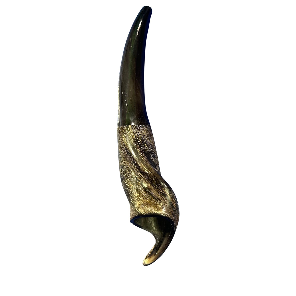Eland Yemenite Shofar - Genuine Antelope Horn - Around 15" long - Judaica Trumpet Kosher-made Eland antelope horn shofar Eland Horn Trumpet