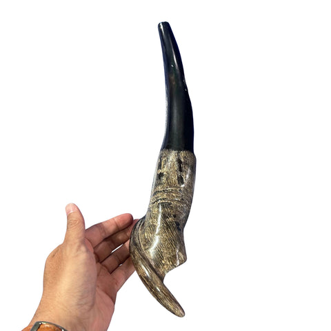 Eland Yemenite Shofar - Genuine Antelope Horn - Around 15" long - Judaica Trumpet Kosher-made Eland antelope horn shofar Eland Horn Trumpet