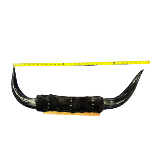 Polished Cow Horn Mount - 31" Wide Horns Rustic Decor Arts and Crafts Longhorn, Horn Mount