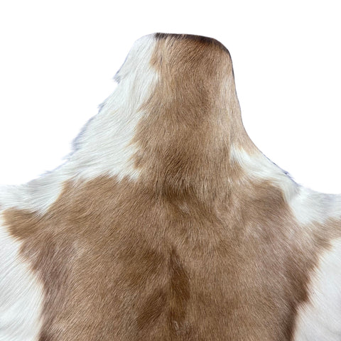 Unique Springbok Hide – Real African Antelope Springbok Leather Skin Rug (37 X 22") F-020