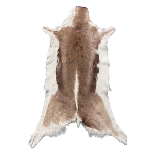 Unique Springbok Hide – Real African Antelope Springbok Leather Skin Rug (37 X 22") F-020