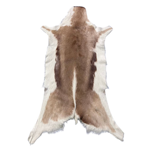 Unique Springbok Hide – Real African Antelope Springbok Leather Skin Rug (37 X 22") F-020