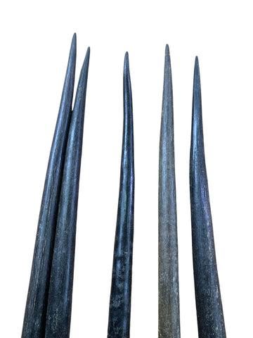 1 Natural Gemsbok Horn, Oiled Oryx Horn Average Size: 32 inches long