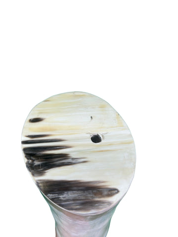 Polished Watusi Cow Horn on Metal Stand African -Cattle Outer Horn - Size: About 30" horn length (base is 6X6X7 3/4")