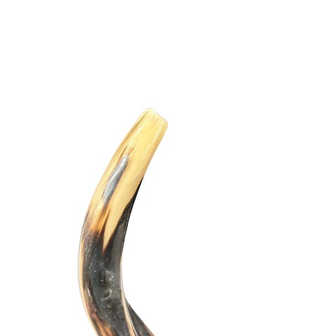 Kudu Horn Shofar Trumpet, African Antelope Shofar Size L (Half Polished Half Natural) - LARGE Size: Approx. 30" (measured straight)