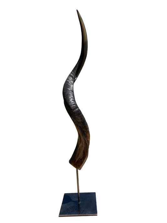 1 Half Polished Kudu Horn on Metal Stand African Antelope Outer Horn - Size: About 30" horn length (base is about 9")