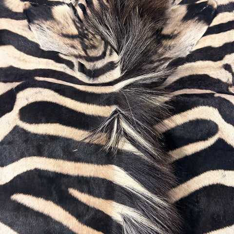 Tapis en peau de zèbre véritable # 29 Taille énorme : 7X6 pieds - TAIE D'OREILLER ZEBRA GRATUITE