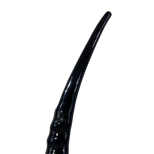 Sable Antelope Shofar or Trumpet, Sable Yeminete Shofar Size 27.5" Slightly Polished
