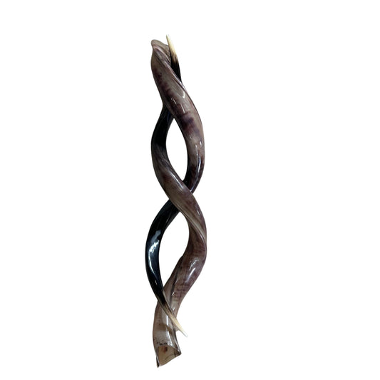 Kudu Horns Polished - Set of 2 Large Polished Kudu Horns - For Making Shofar 37"