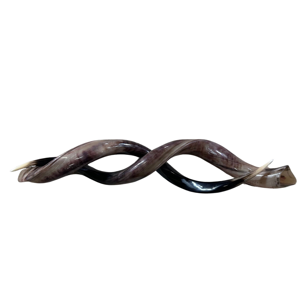 Kudu Horns Polished - Set of 2 Large Polished Kudu Horns - For Making Shofar 37"