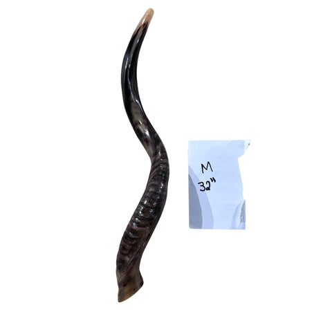 Kudu Yemenite Horn Shofar, New Kosher Kudu Trumpet, Kudu Shofar Medium Size 32"