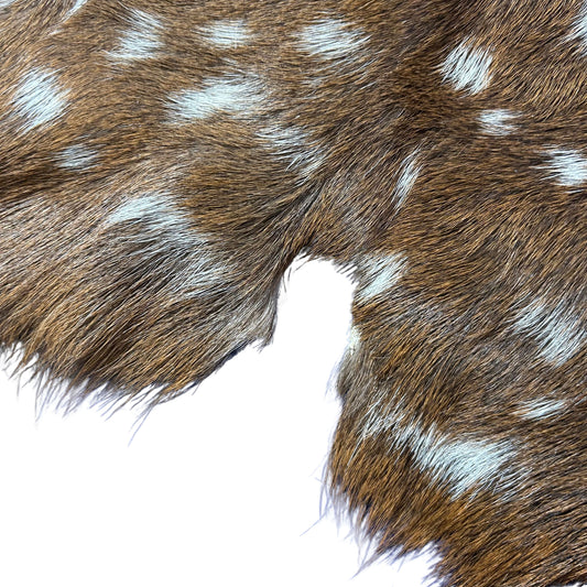Axis Deer Skin Size: 42x38" Axis-750