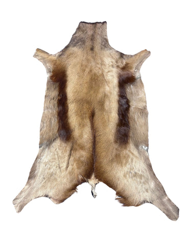 Copper Springbok Skin - Deer Leather Rug Deer skin for wallets, deer floor rug Naturally Copper Springbok Hide