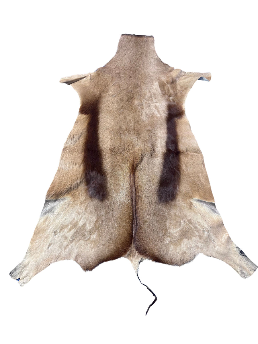 Copper Springbok Skin - Deer Leather Rug Deer skin for wallets, deer floor rug Naturally Copper Springbok Hide