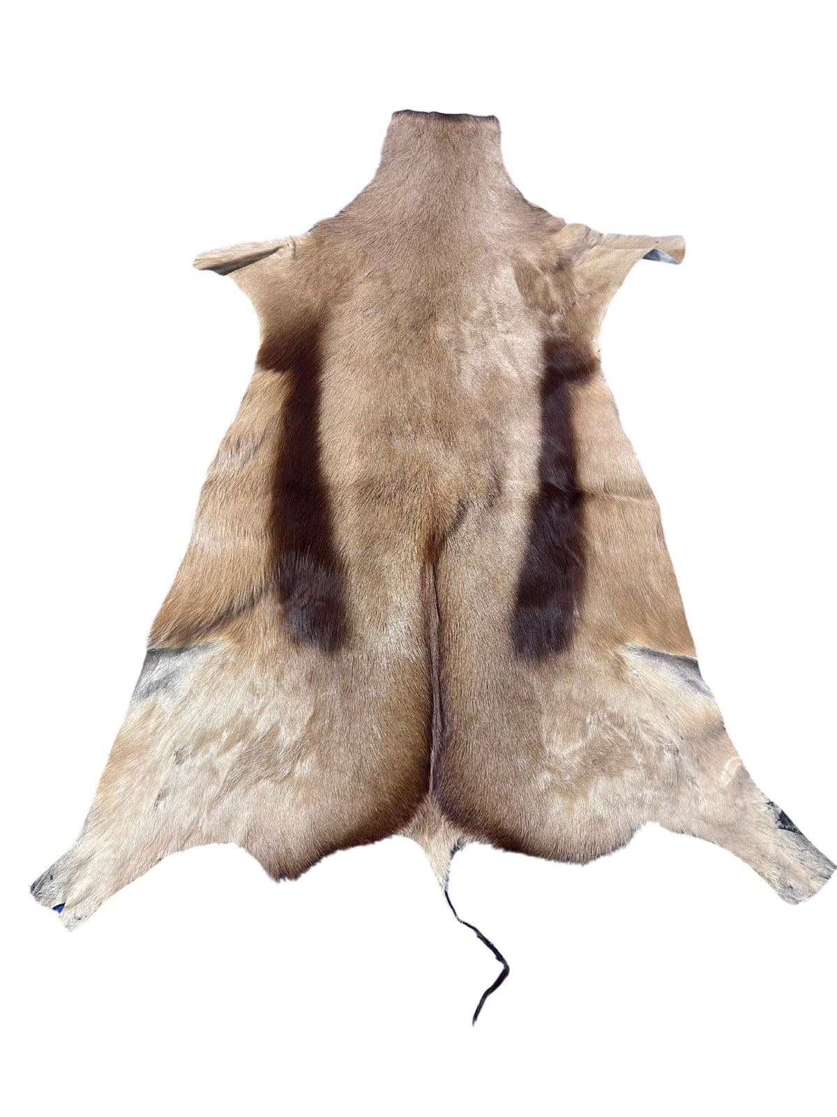 Copper Springbok Skin - Deer Leather Rug Deer skin for wallets, deer floor rug Naturally Copper Springbok Hide