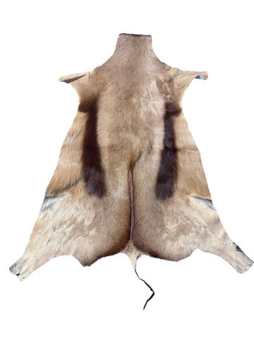 Copper Springbok Skin - Deer Leather Rug Deer skin for wallets, deer floor rug Naturally Copper Springbok Hide