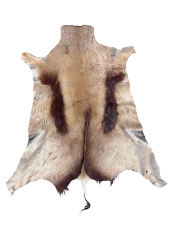 Copper Springbok Skin - Deer Leather Rug Deer skin for wallets, deer floor rug Naturally Copper Springbok Hide