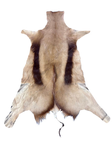 Copper Springbok Skin - Deer Leather Rug Deer skin for wallets, deer floor rug Naturally Copper Springbok Hide