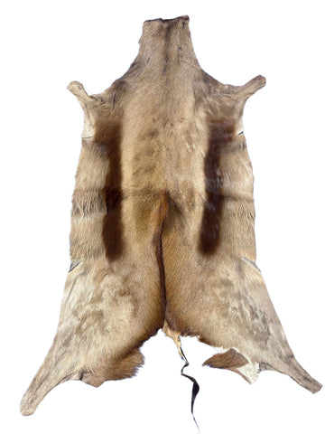 Copper Springbok Skin - Deer Leather Rug Deer skin for wallets, deer floor rug Naturally Copper Springbok Hide
