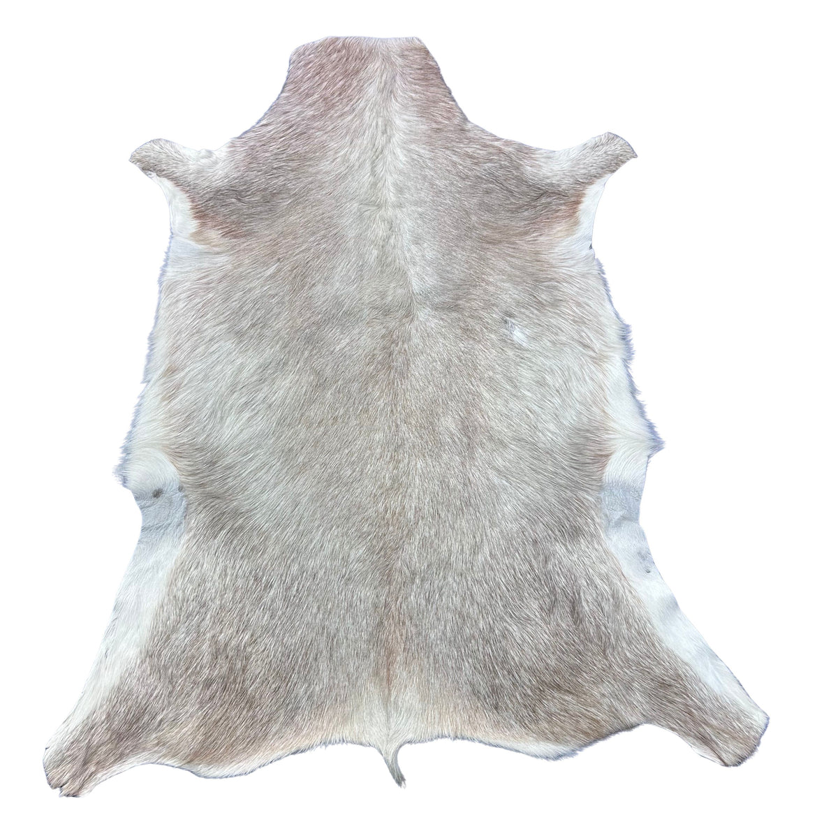 White Blesbok Skin - Deer Leather Rug Deer skin for wallets, hand bags, deer floor rug - Blesbok Hide White Blesbok Antelope Skin