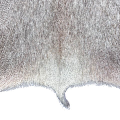 White Blesbok Skin - Deer Leather Rug Deer skin for wallets, hand bags, deer floor rug - Blesbok Hide White Blesbok Antelope Skin