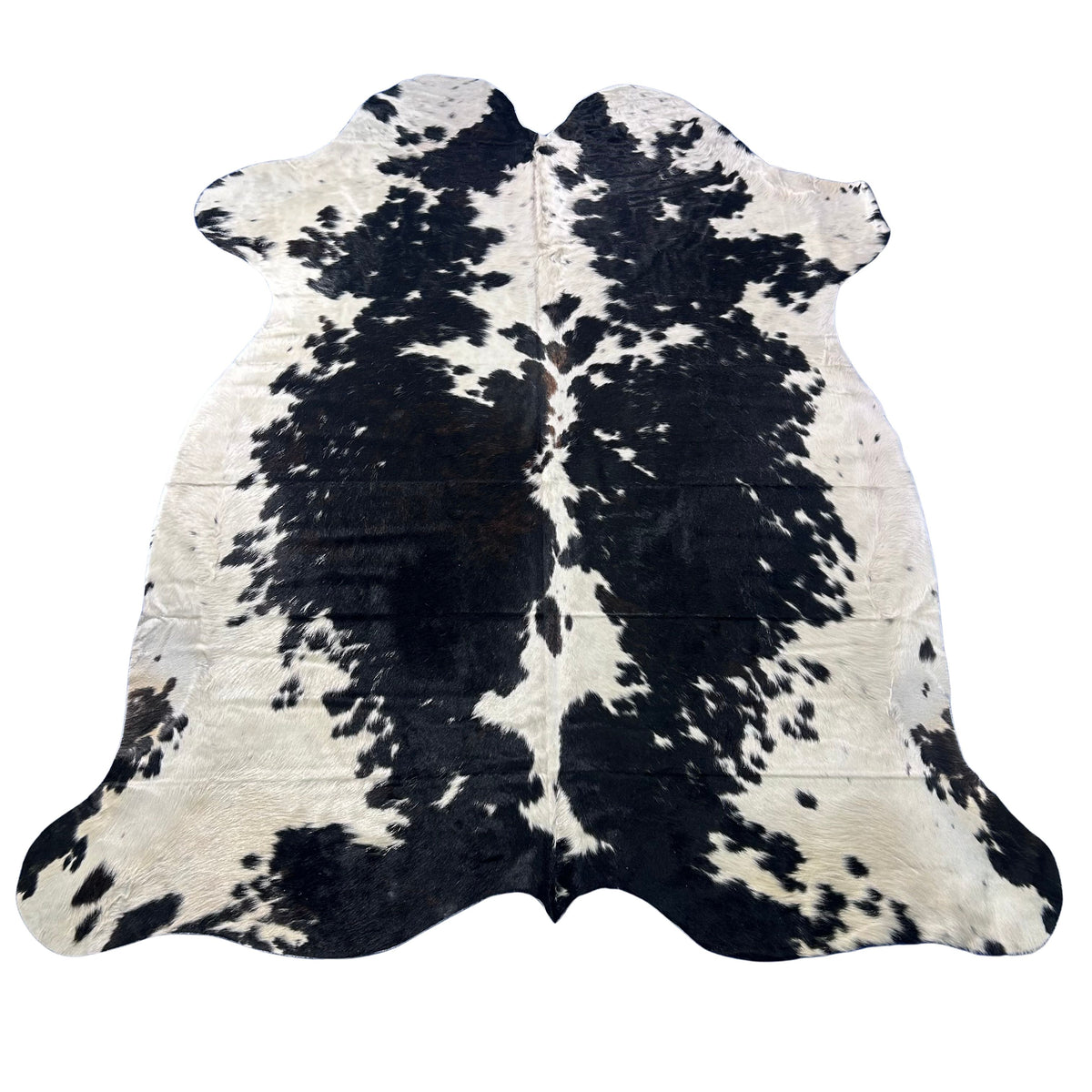 HUGE Tricolor Cowhide Rug (not much brown) Size: 8.2x7 feet X-028