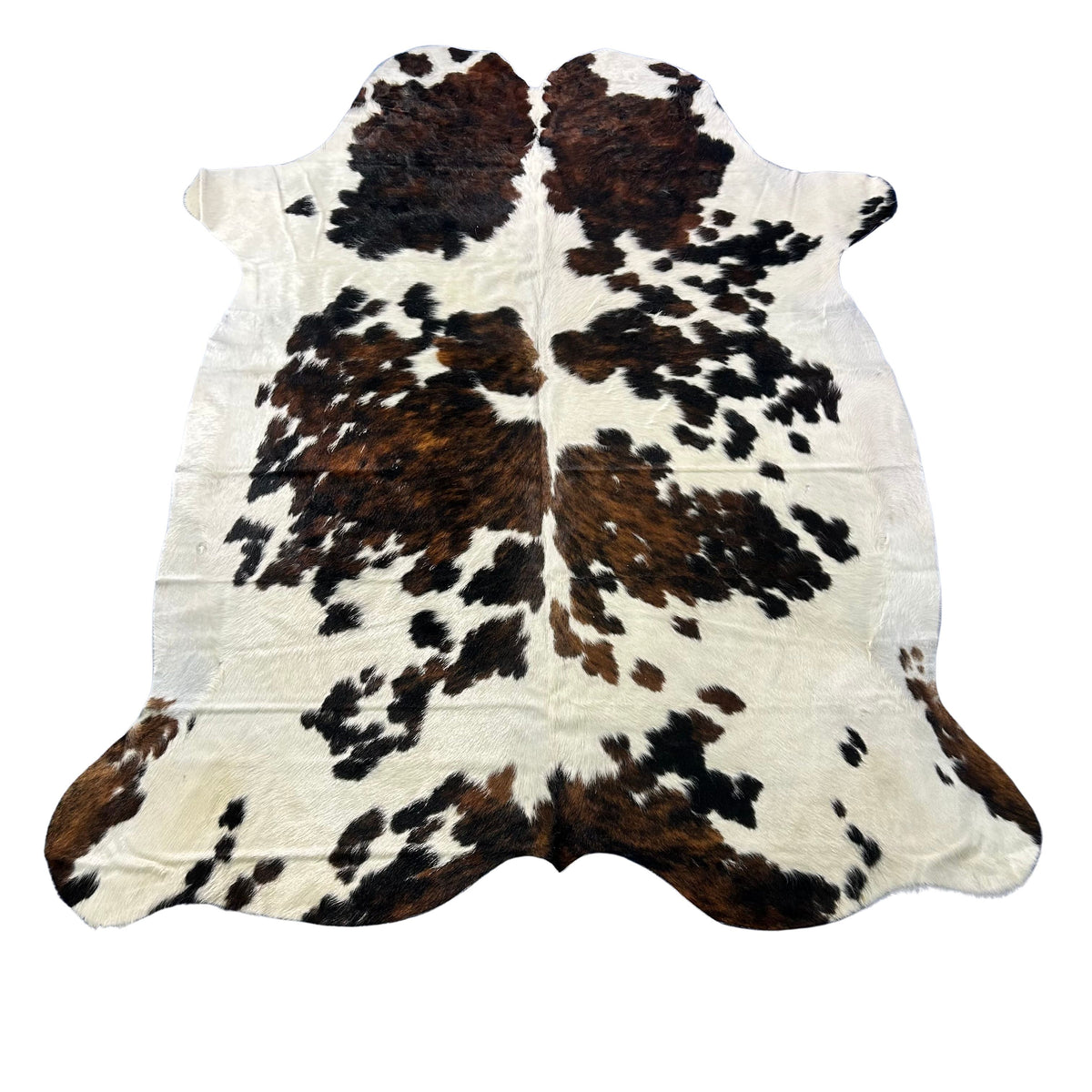 Huge Tricolor Cowhide Rug Size: 8x7 feet X-038