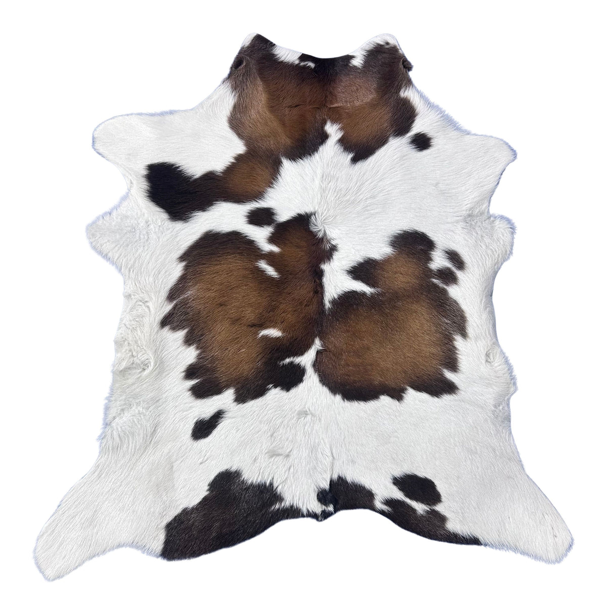 Tricolor Spotted Calf Skin Size: 38x34" Z-170
