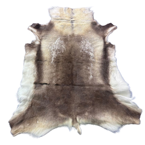 Reindeer Skin (White and Brown) Size: 55x50" Z-183