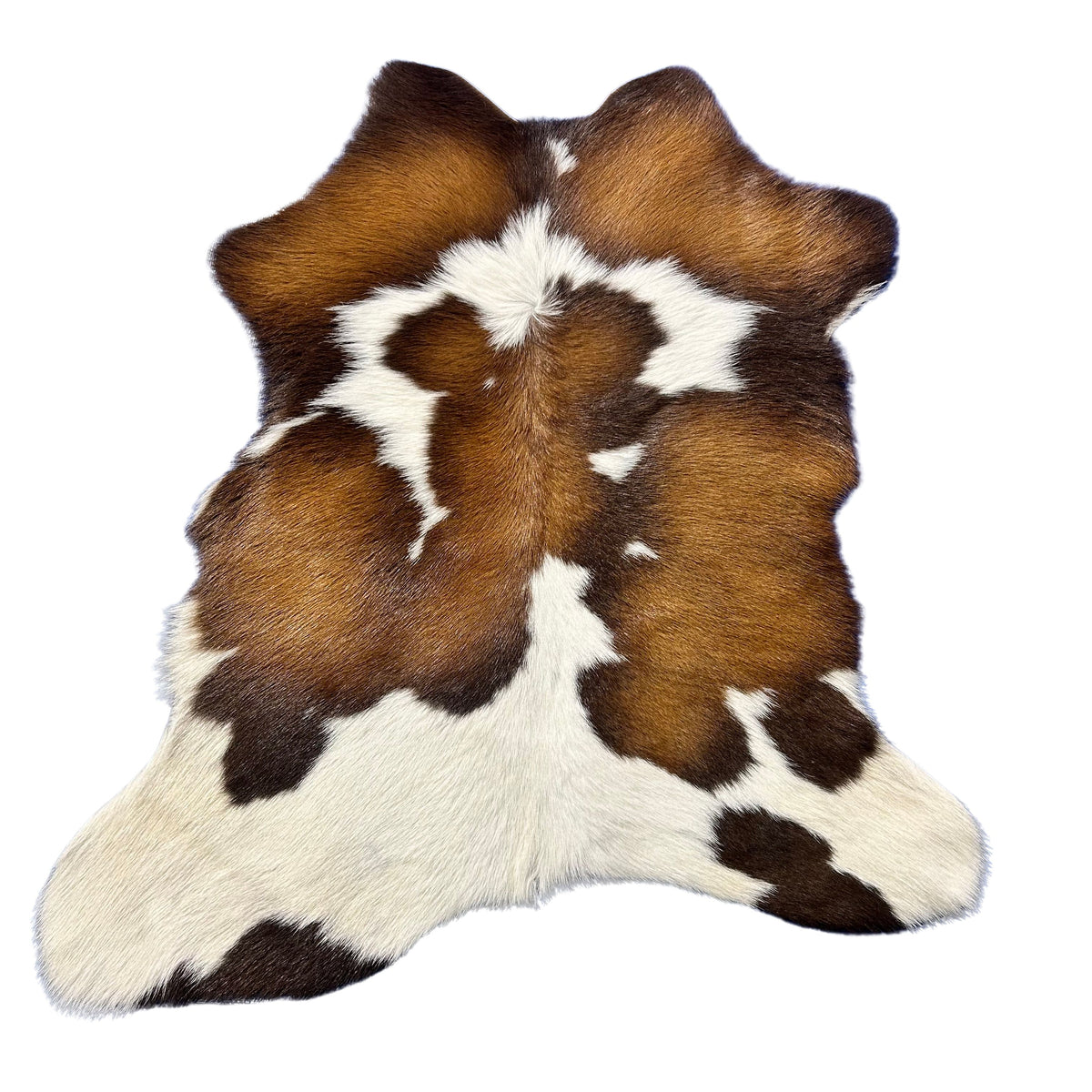 Tricolor Calf Skin Size: 34x30" Z-320