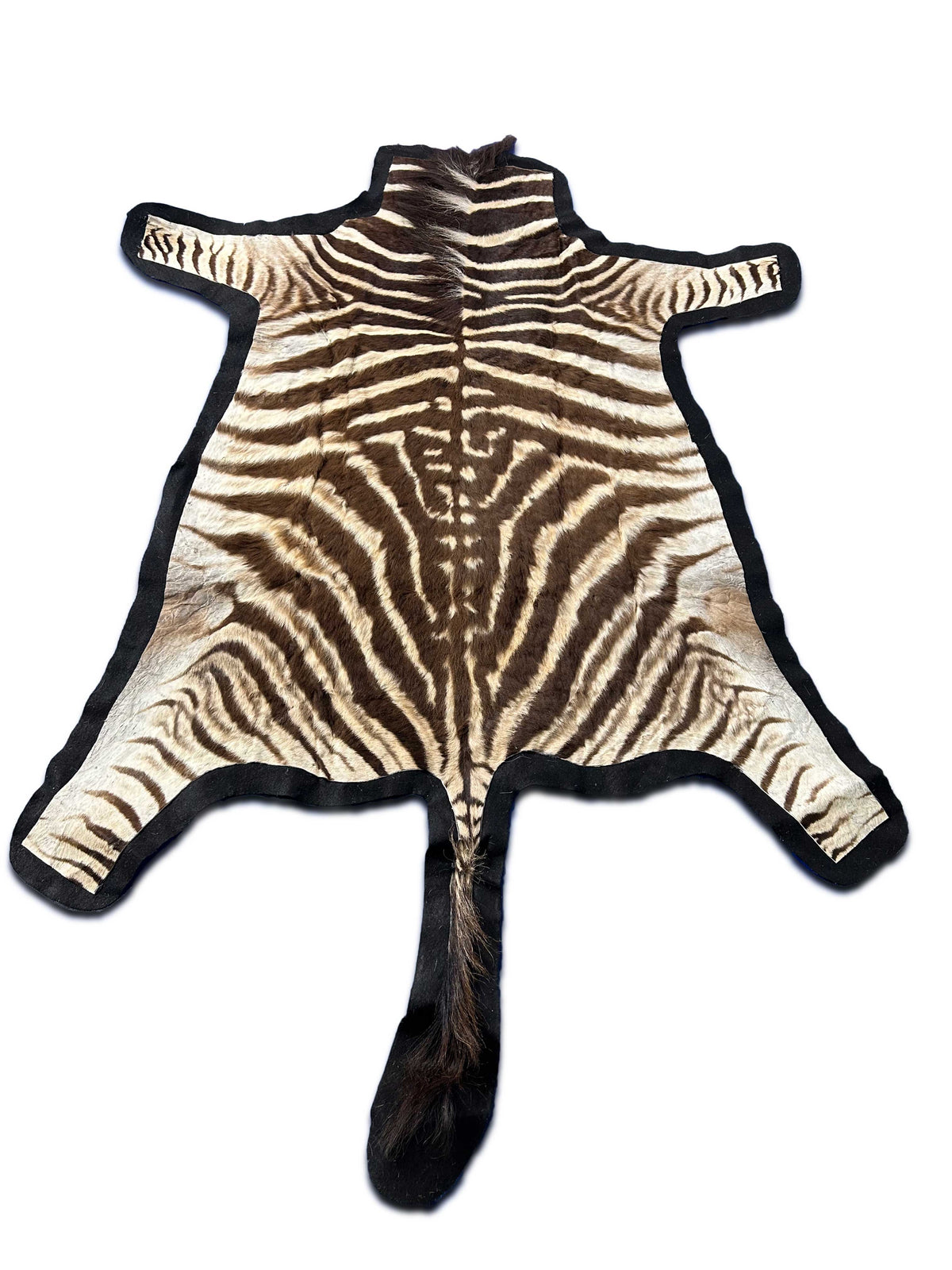 Juvenile Zebra Hide # 9 (Felted/ no head/Tail is 20") Size: 50x49"