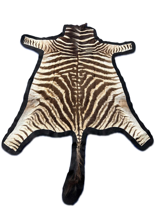 Juvenile Zebra Hide # 9 (Felted/ no head/Tail is 20") Size: 50x49"