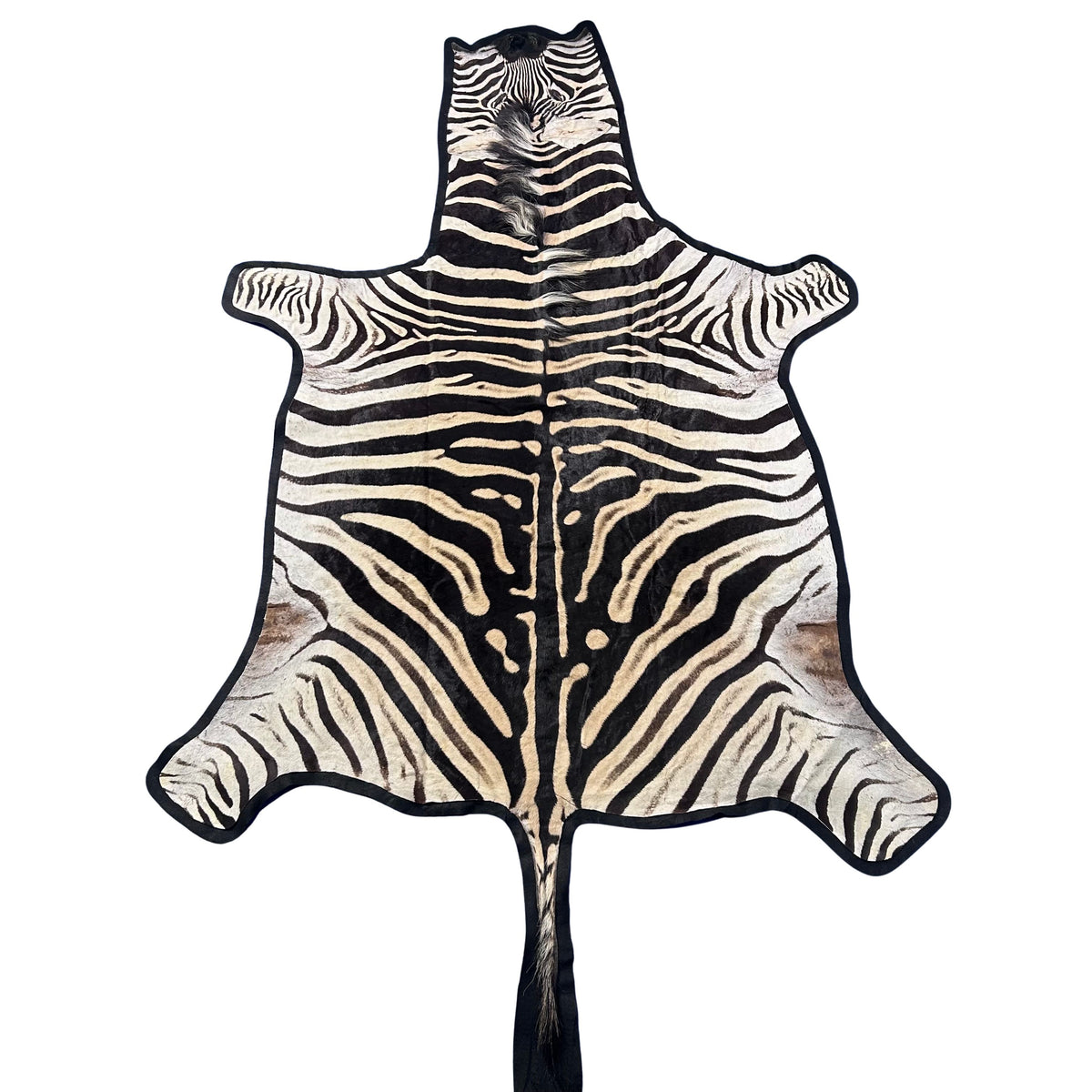 Felted Real Zebra Skin Rug # 78 (Tail is 28") Size: 7.5x5.2 feet