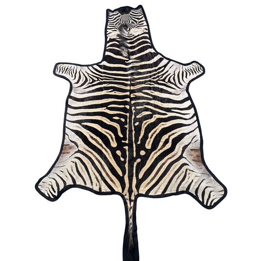 Felted Real Zebra Skin Rug # 78 (Tail is 28") Size: 7.5x5.2 feet